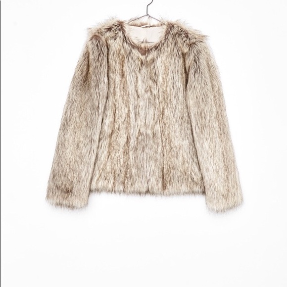 NWT Bershka Faux Fur Teddy Jacket Coat - Picture 4 of 7